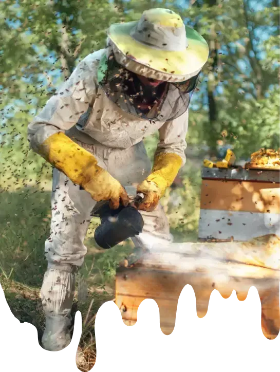 Beekeeper